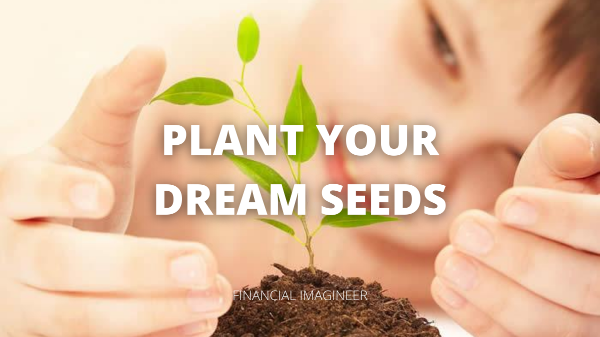 Plant Your Dream Seeds How To Terraform Your Life. Financial Imagineer